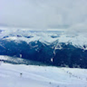 Meet your Posher, Andrew hamilton